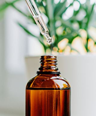 A brown essential oil bottle with liquid in it, a glass pipette with liquid in it above it, and a white wall with green plants behind it