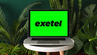 Working at home garden, laptop surrounded with green leafy potted plants, front view of the screen, blank space for a text