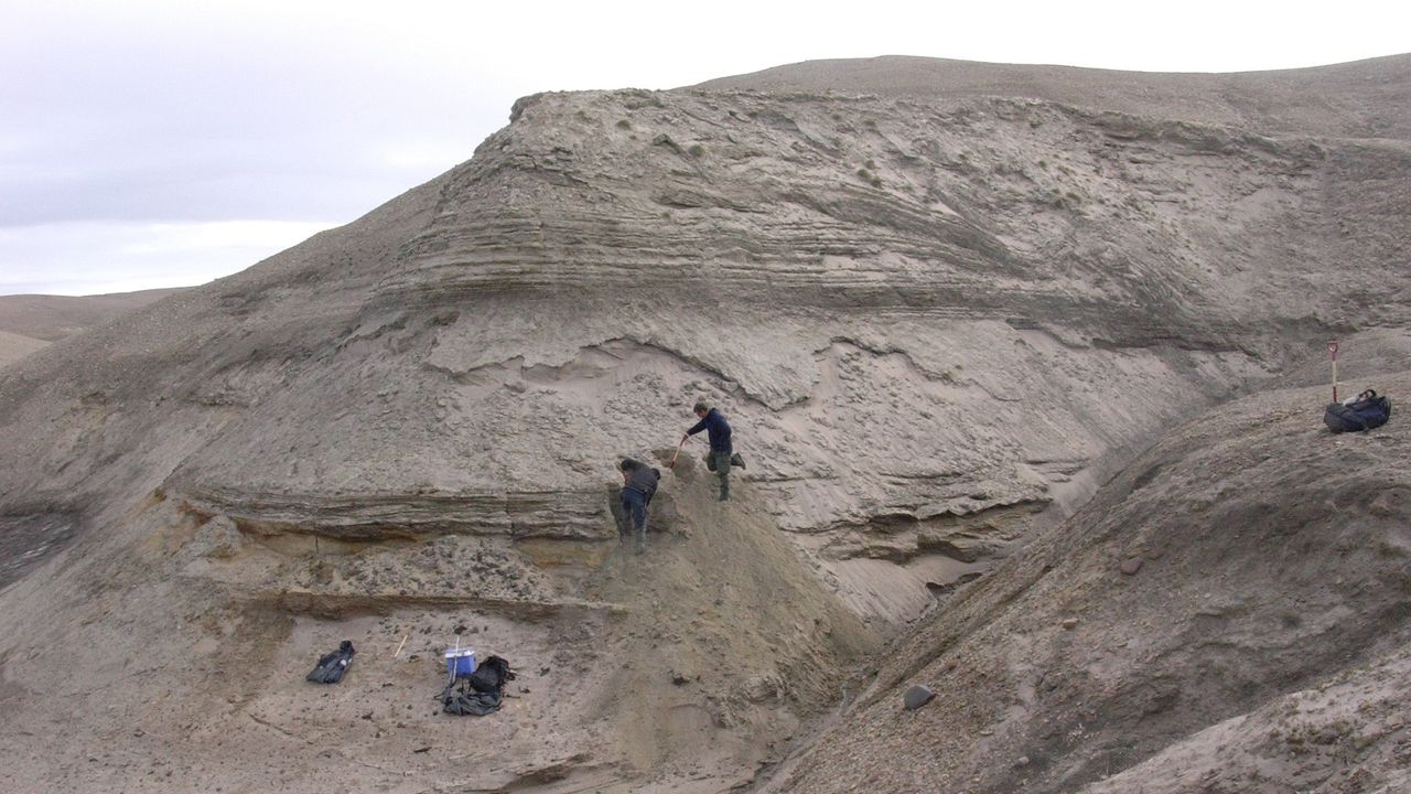Researchers digging out sediment samples from the Kap K&oslash;benhavn formation in northern Greenland