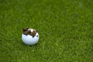 Mud ball in golf