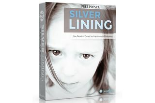 free Lightroom presets: Silver Lining