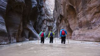 A group of friends hiking the Zion Narrows in Zion national Park