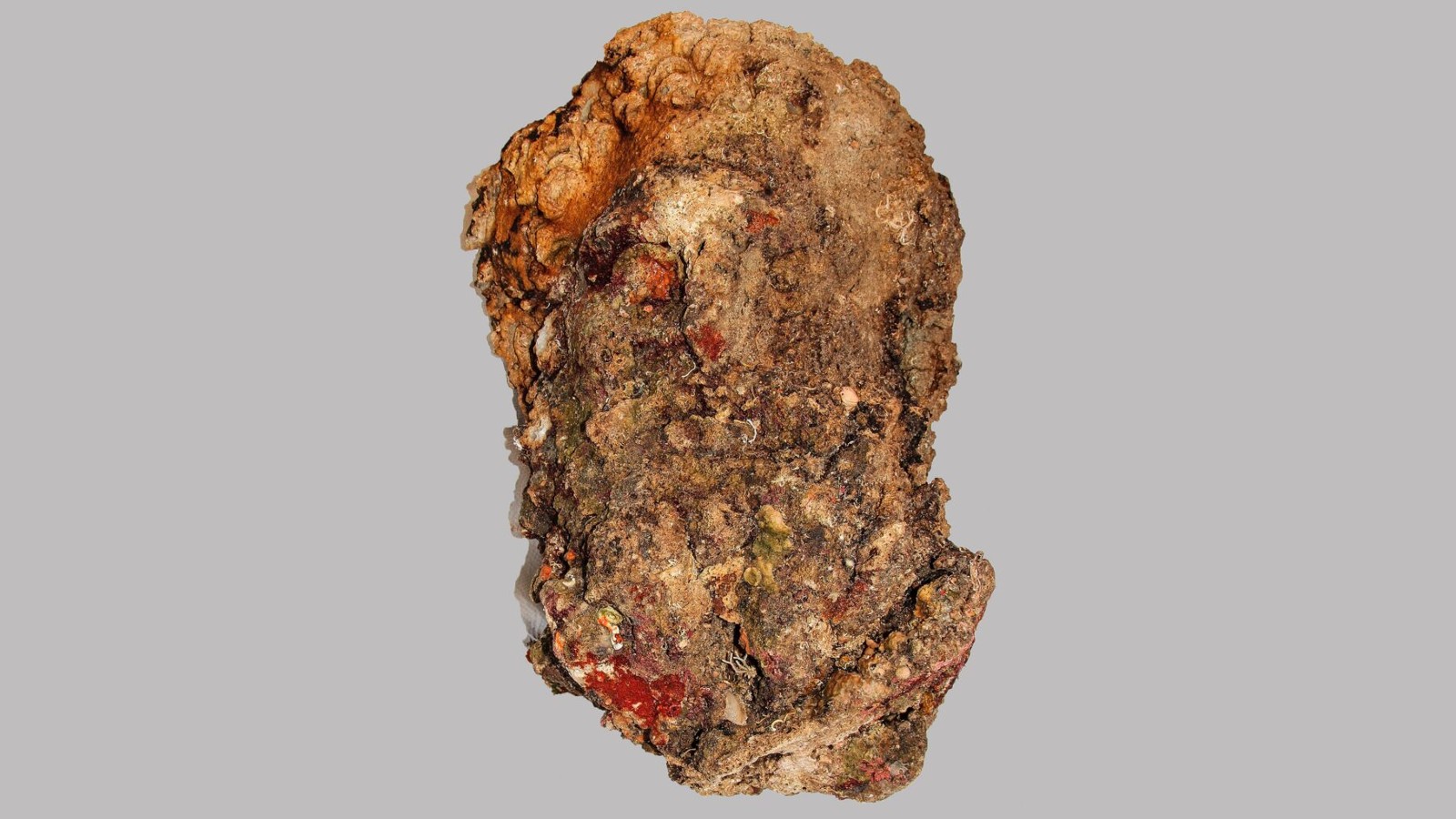 Το κεφάλι του Ηρακλή και άλλοι θησαυροί βρέθηκαν στο ναυάγιο του ρωμαϊκού πλοίου «Μηχανισμός των Αντικυθήρων»