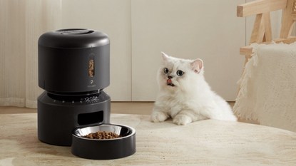 White cat sitting at pet food dispenser