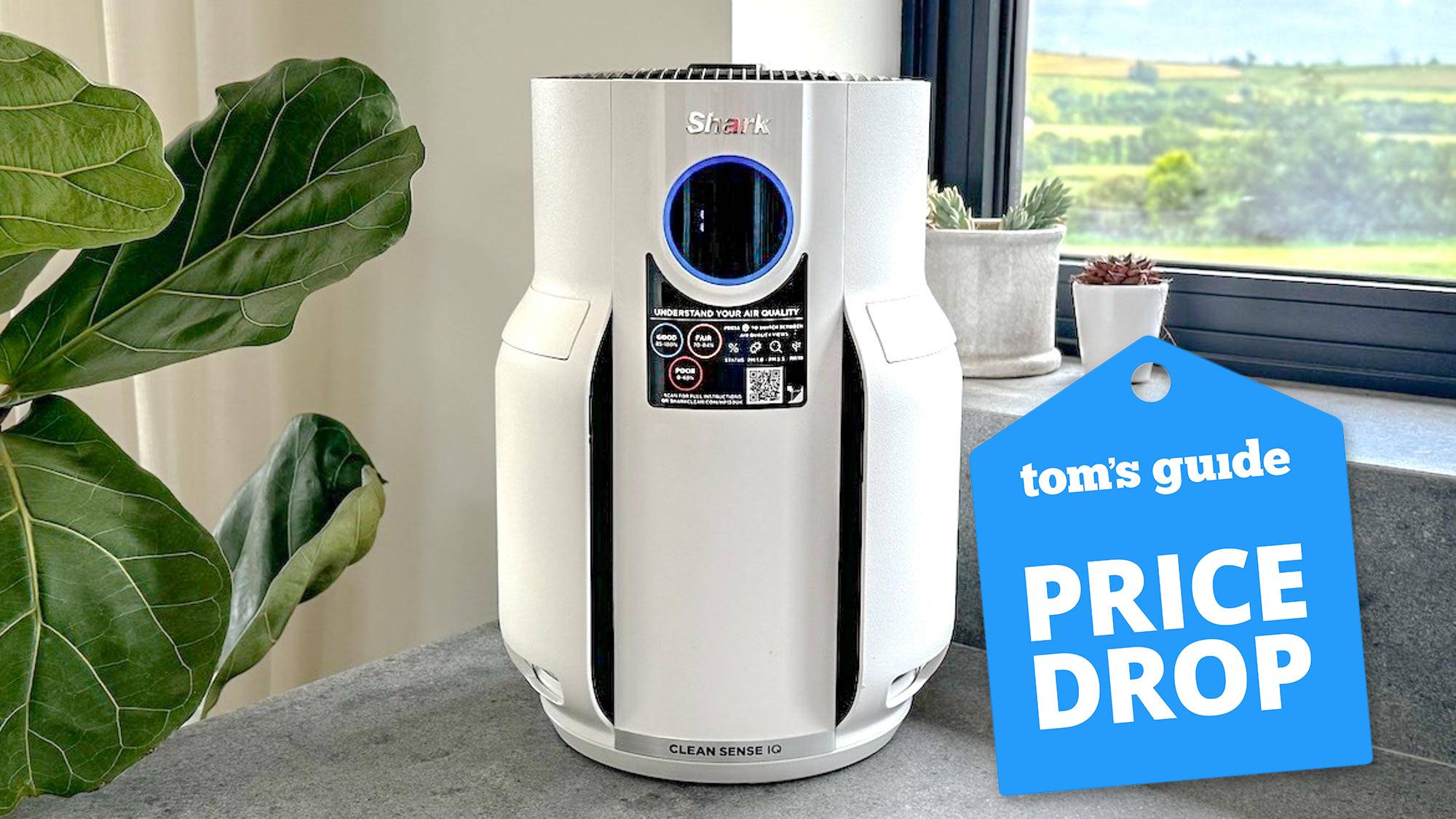 Shark NeverChange Air Purifier by a window
