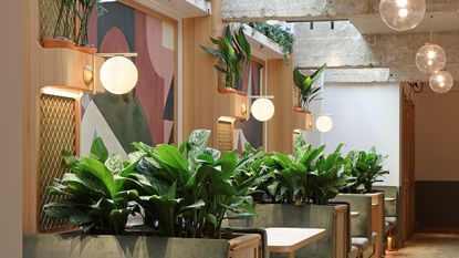 Browns Opens Nomad Pop-Up Store Berlin