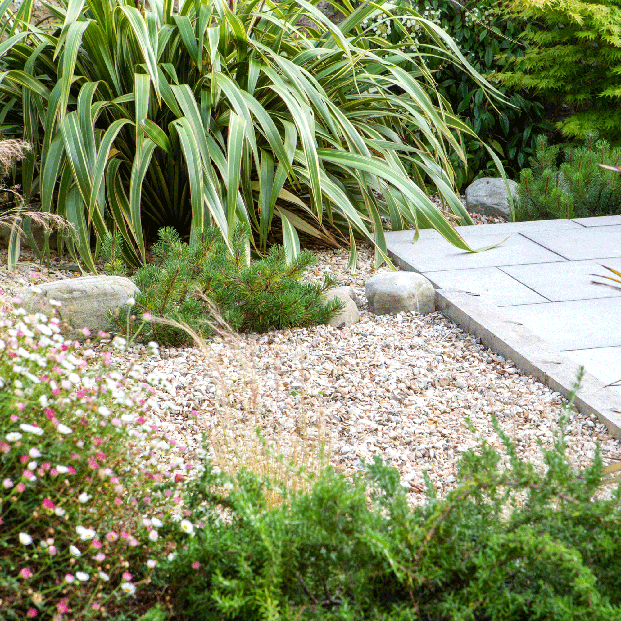 Drought tolerant garden with gravel