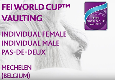 mechelen-vaulting.png