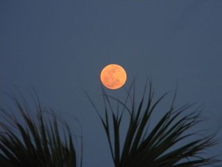 The supermoon of 2012, May's full moon, as seen by skywatcher Dion Paul in Jacksonville, Fla., on May 5, 2012.