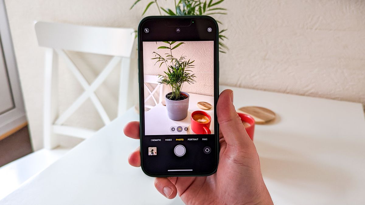 This hidden iPhone feature lets you identify any plant — try it now