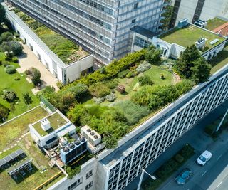 roof garden on top of city flat