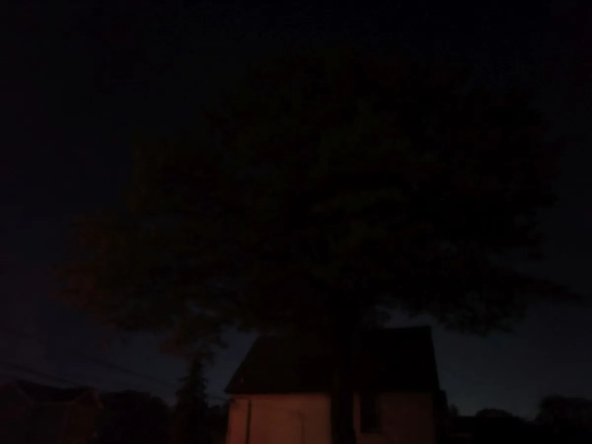 Post image 13