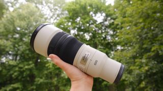 The Sony FE 600mm f/6.3 GM OSS photographed outdoors