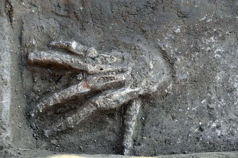 Severed Hands Discovered In Ancient Egypt Palace | Live Science