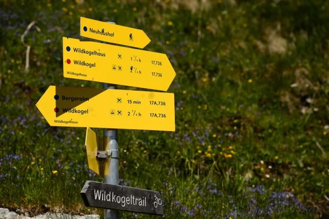 Signs out on course during stage 3