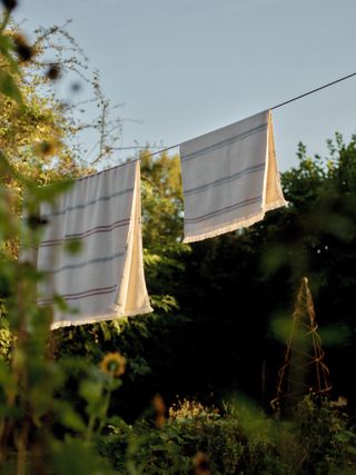 Rowen & Wren Heritage Cotton Bath Towel hanging from a washing line in a golden hour garden surrounded by trees.