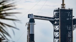 A black and white rocket with crew capsule at the top, connected to a gantry leading to a black tower on the right. On the left, in the foreground, the fronds of a palm leaf.