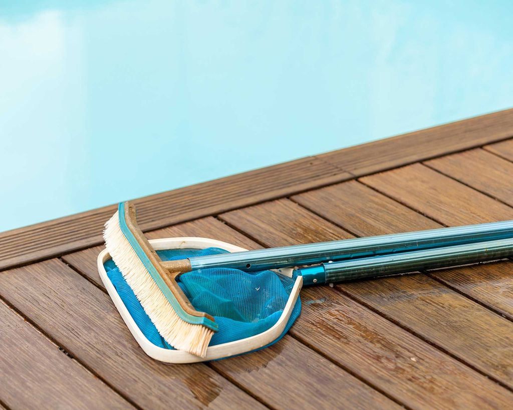 Black algae in a pool simple steps to get rid of it Gardeningetc