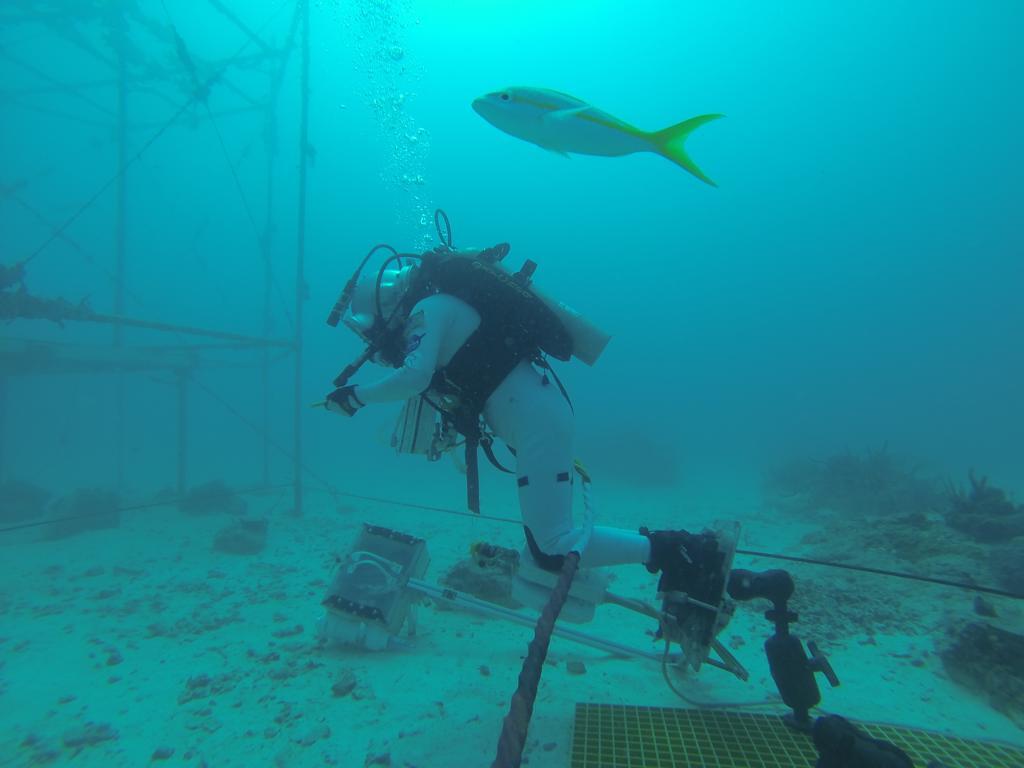 Astronaut Soichi Noguchi at the at the underwater laboratory