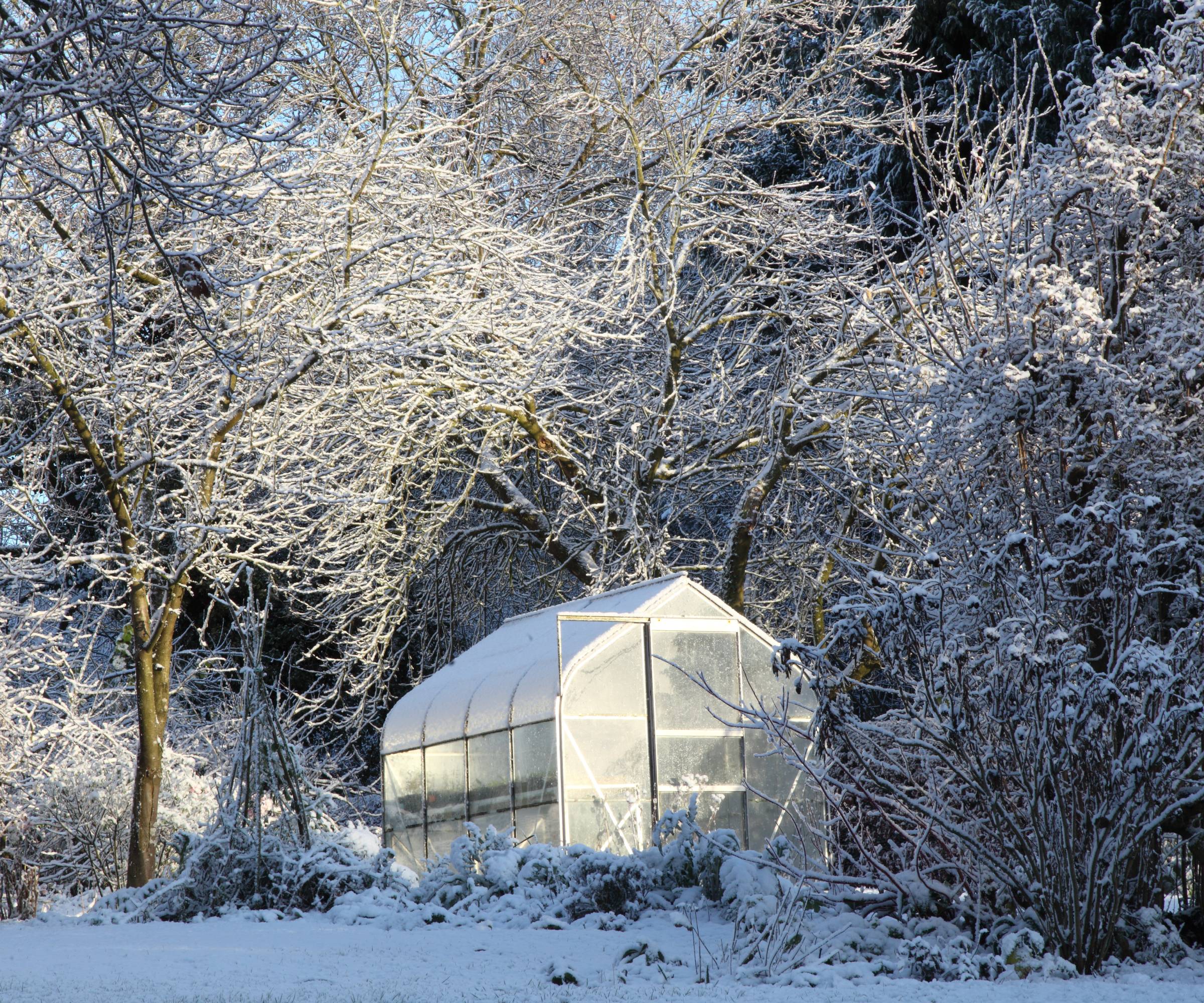 Metal frame greenhouse in the snow