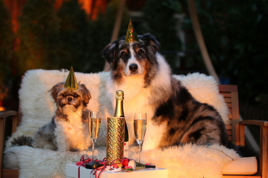 new-years-day-1090770-1920-1556647191-aKzJ-column-width-inline