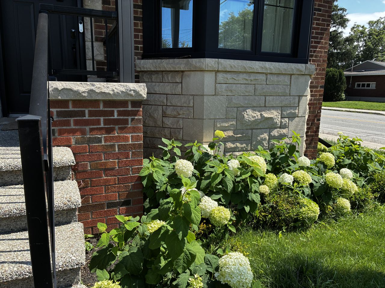 Hydrange on the right side of a home