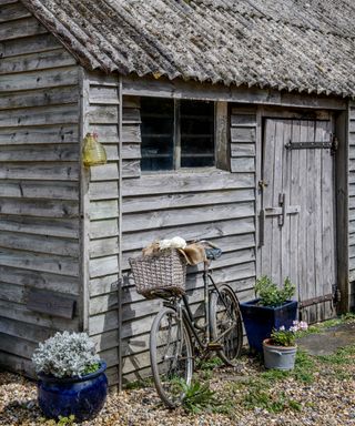 Rustic garden shed ideas with a vintage bicycle and blue potted plants in front.