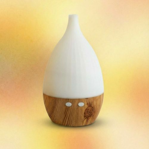 Wrought Studio Essential Oil Diffuser&nbsp;