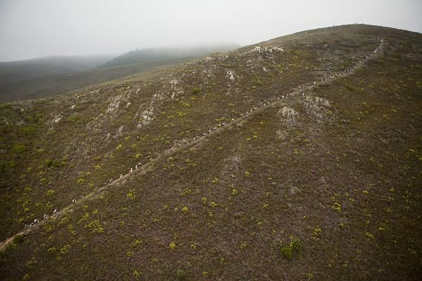 The main field climbs to Hangman's Tree