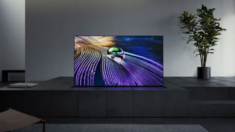 The Sony A90J OLED on a TV unit in a minimalist living room with a plant nearby.