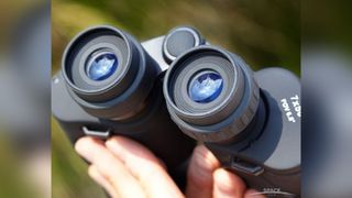 Celestron cometron 7x50 binoculars in the hand