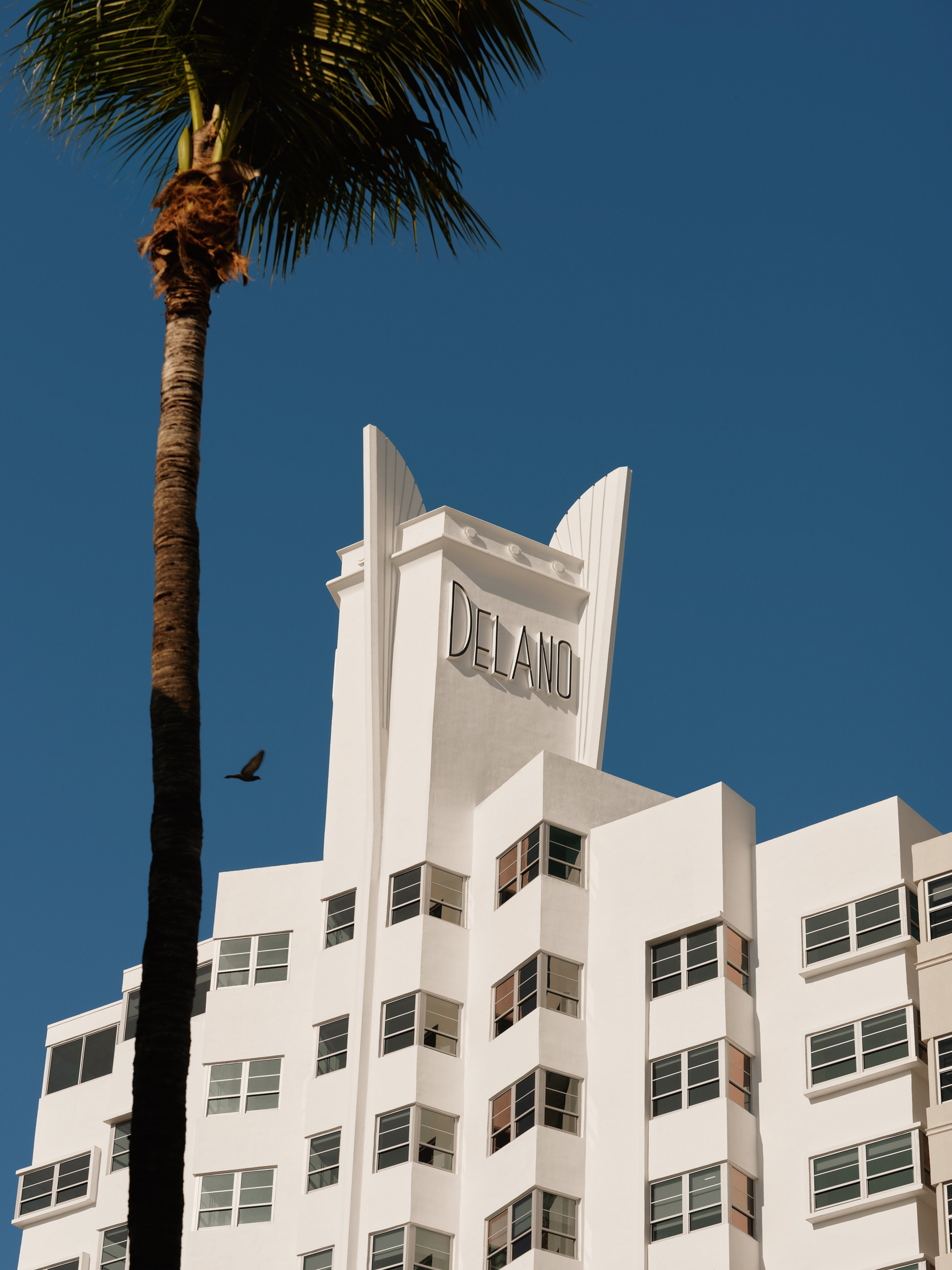 delano miami beach review