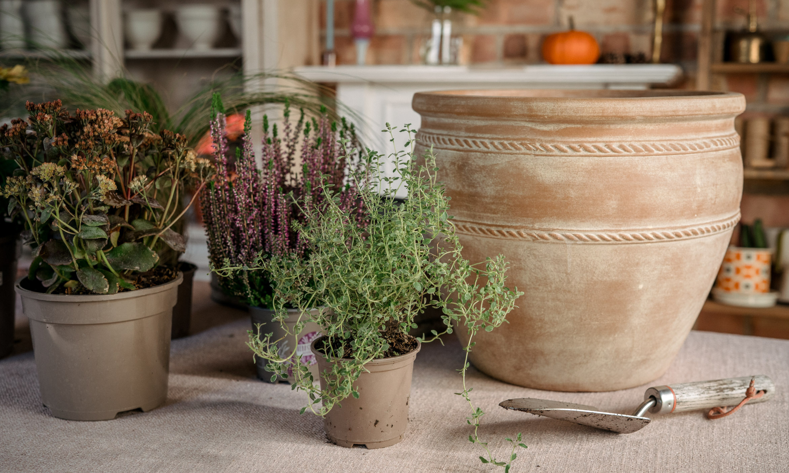 Workbench with large terracotta pot, fall plants and trowel