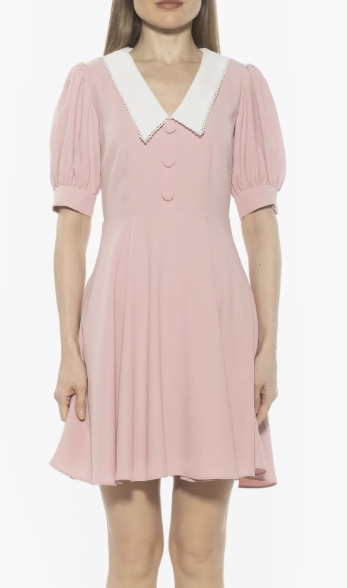 Alexia Admor, Carys Puff Sleeve Fit &amp;amp; Flare Dress
