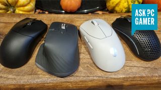 A selection of gaming mice on a charming wooden background with several gourds in the background, as if looking on in awe