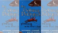 The Curious Incident Of The Dog In The Night-Time
