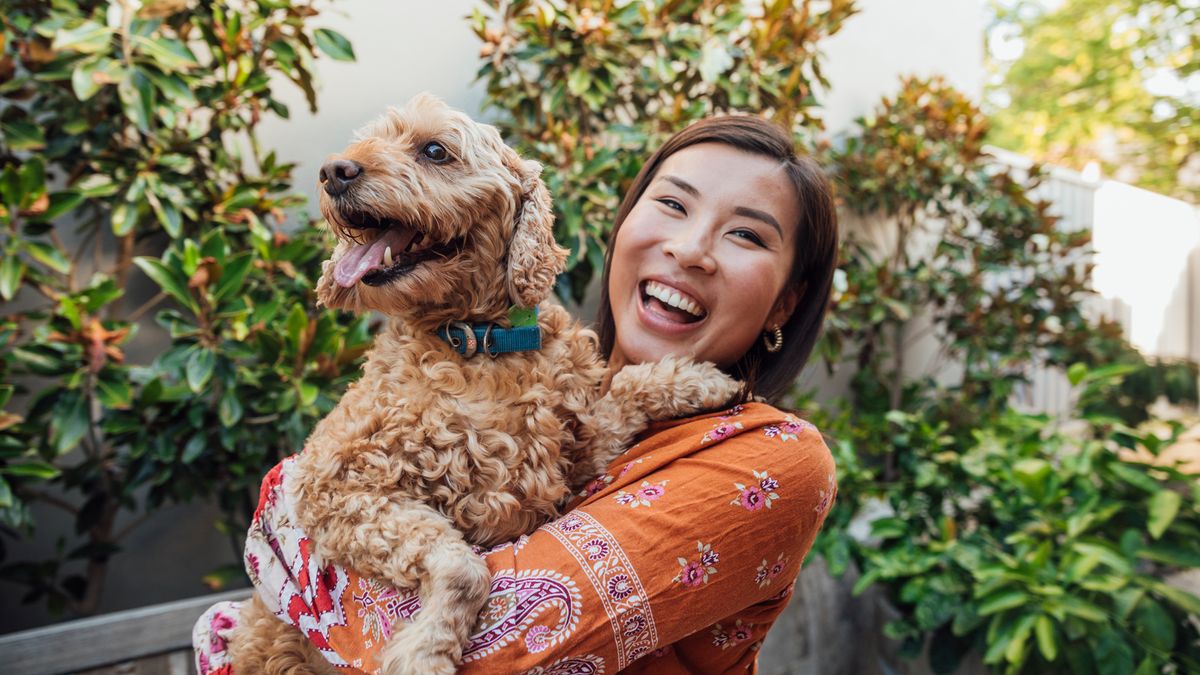 Woman lifting dog up