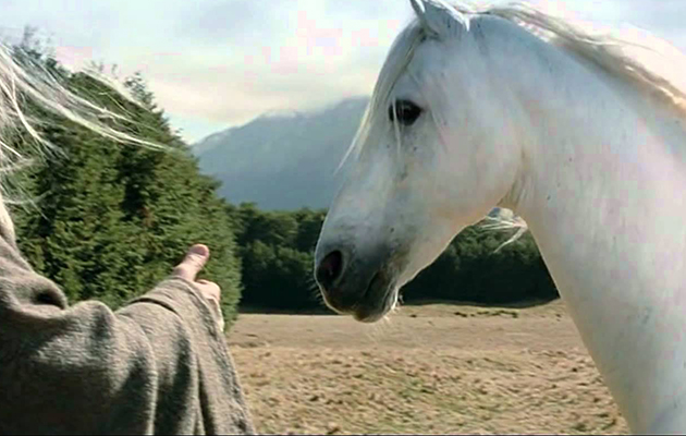 shadowfax.jpg