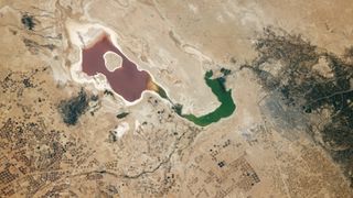 An astronaut photo of a lake in the desert that is half red and half green surrounded by lots of dark circular dots