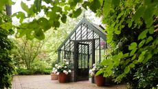 Greenhouse with modern black frame in a garden