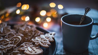 Some iced Christmas biscuits sit on a plate beside a mug of hot chocolate