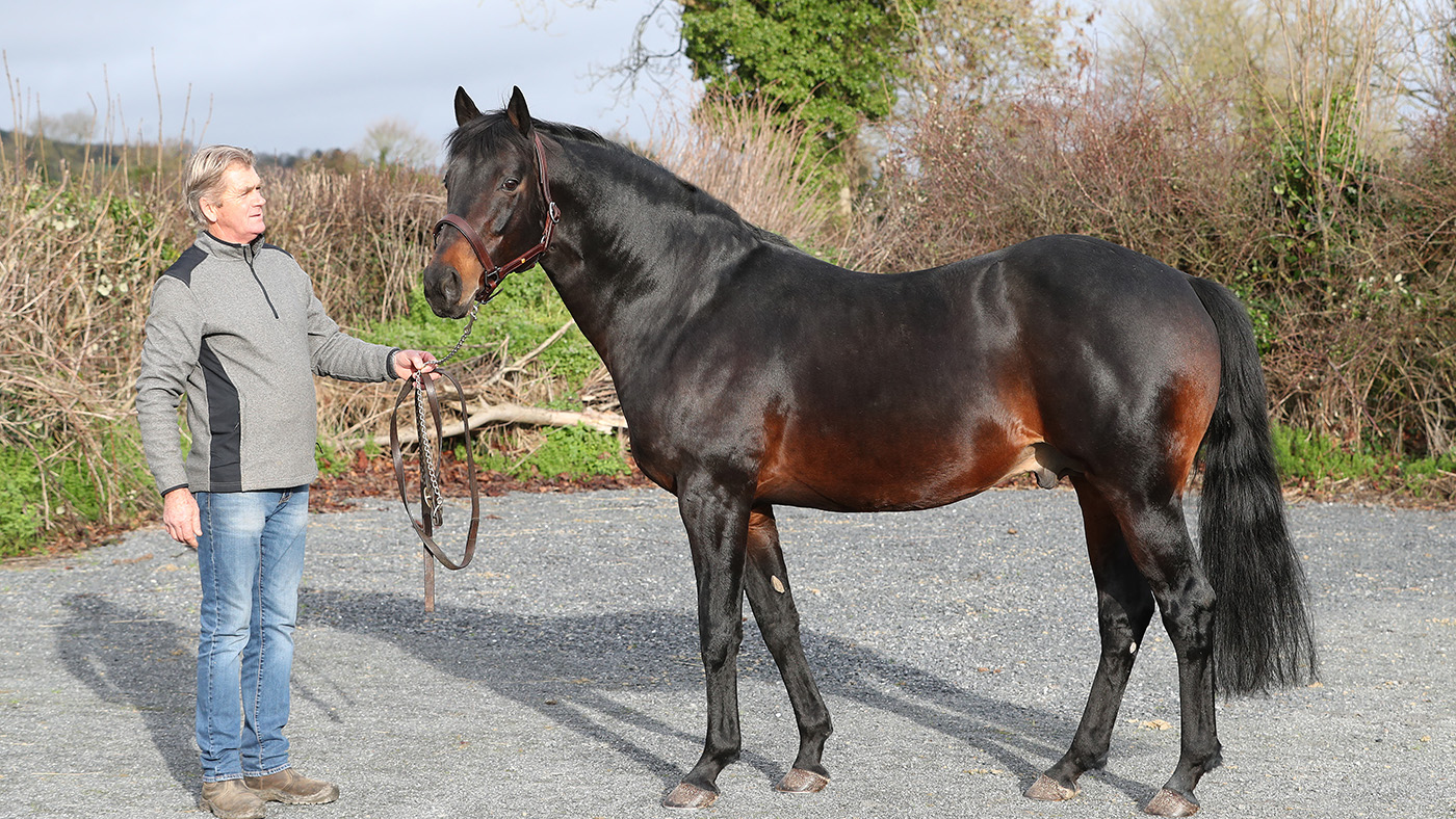 Puissance shoot 15 01 2019
