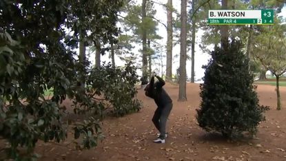 Bubba Watson hits golf shot from trees