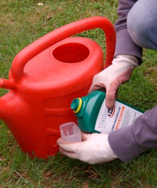 person measuring out lawn weed killer to use on a lawn