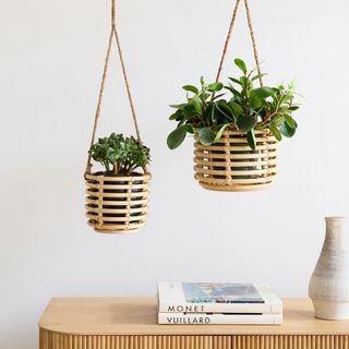 Adobe Rattan Hanging Planters - Set of 2