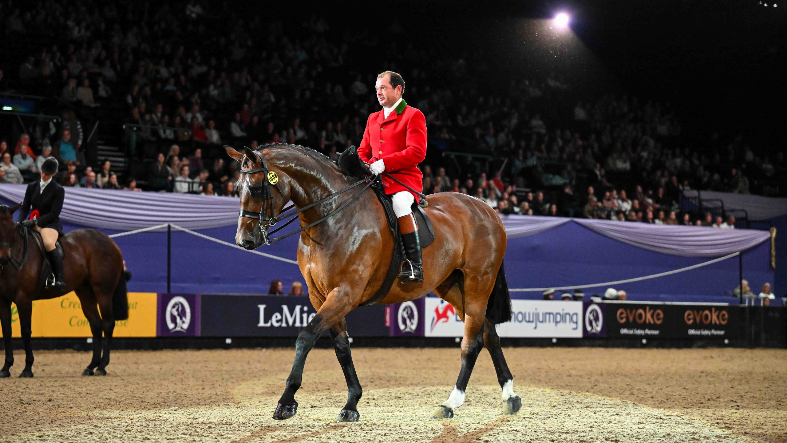 Full Cry and Robert Walker step under the lights as HOYS 2026 hunter champions