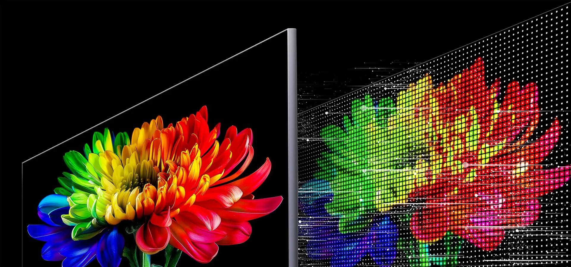 LG Electronics