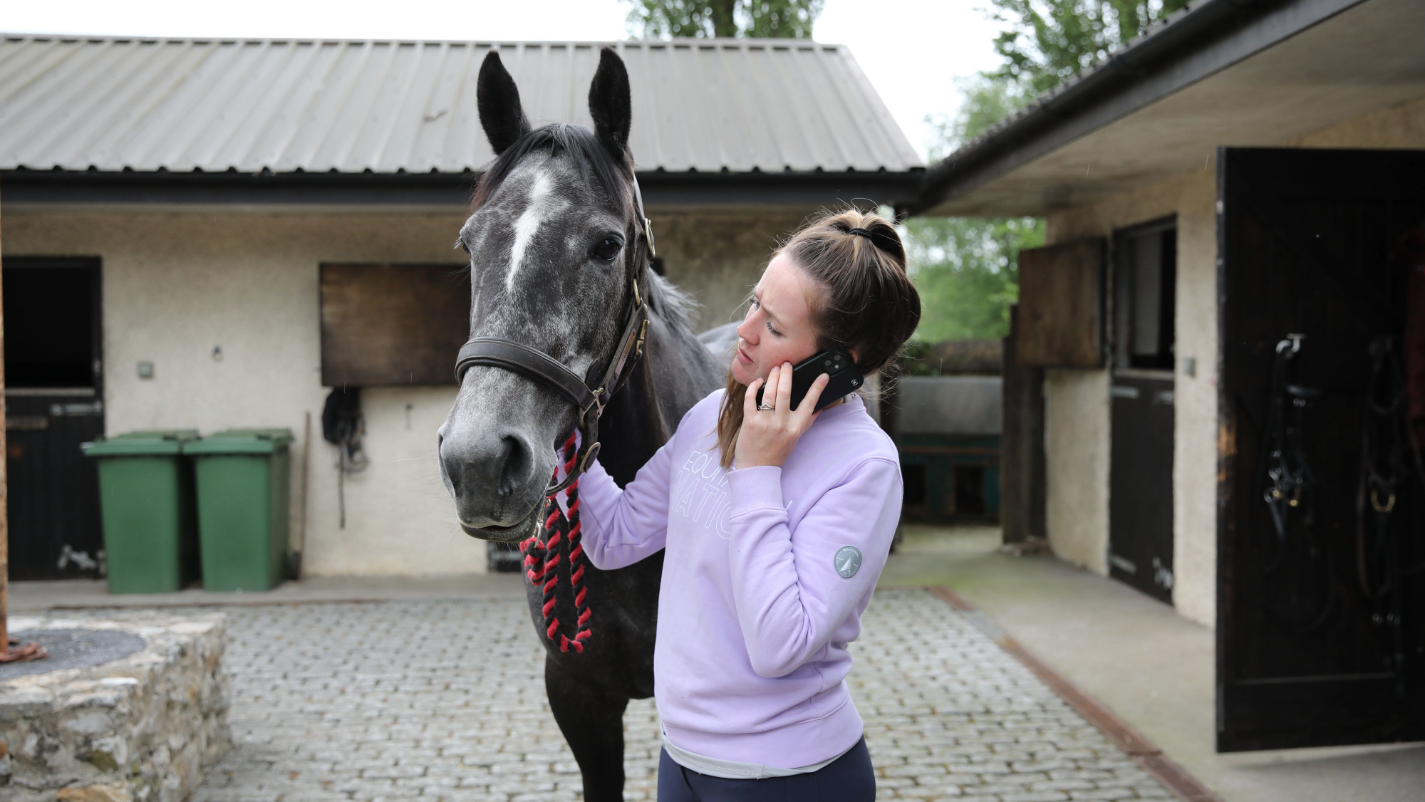 12 scenarios that signal you need to call an emergency vet