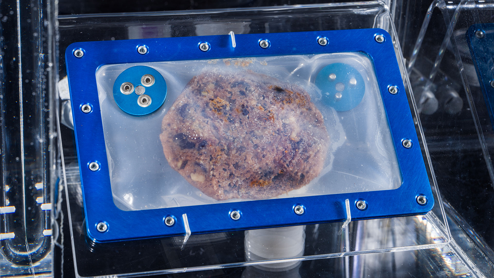 Historic space-baked cookie lands in the Smithsonian Space