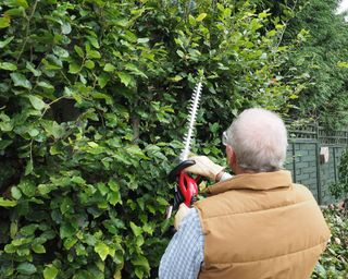 man cutting back a hedge with a cordless hedge trimmer